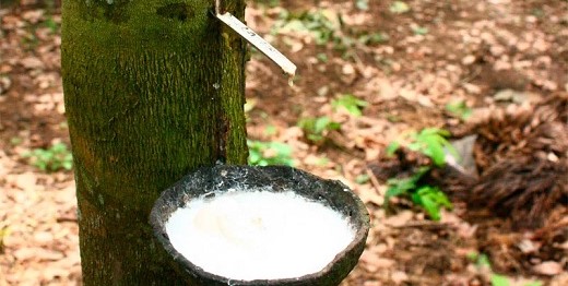 Воздушные шары